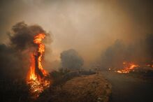Incêndio em Paredes, Vila Real 