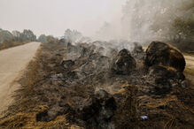Incêndios em Espanha fazem terceira vítima mortal e levam a retiradas