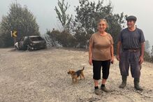 Conceição e Armindo viram o fogo destruir Coucedeira, Seia, e bens materiais