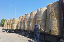 Caçadores distribuem palha e feno em zonas de caça afetadas pelos incêndios na Lousã e Estrela