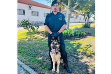 Militar da GNR posa com cão pastor alemão em dia de serviço
