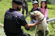 Militar da GNR convive com crianças e cão