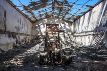 Pastores e queijeiros na Covilhã procuram resistir depois do fogo levar o pasto