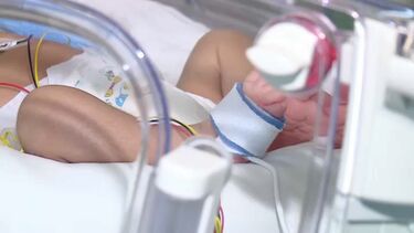 Bebé levada do Hospital de Gaia pela mãe foi a sexta criança do acampamento do Grijó a ser retirada aos pais pela Justiça