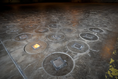 Ninho de vespas radioativo encontrado em antigo complexo nuclear dos EUA