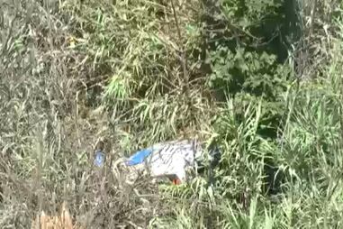 Carro de dupla Paulo Neto e Nuno Mota Ribeiro despista-se no rali da Madeira