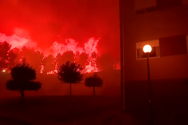 Gritos e desespero em Sabrosa. Chamas aproximam-se de lar e idosos são retirados