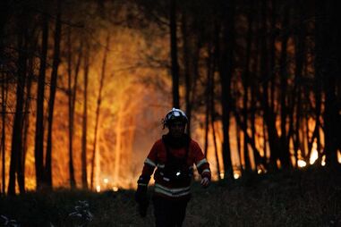 Incêndio em Moimenta da Beira chegou a ameaçar habitações. Centenas de operacionais combatem chamas
