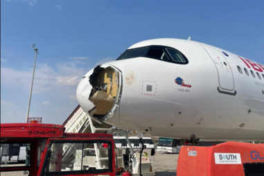 Avião aterra de emergência em Espanha depois de chocar com ave de grande porte