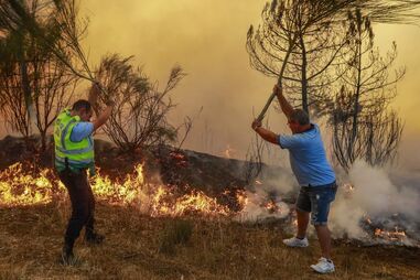 Um elemento da GNR e populares combatem um incêndio em Lugar de Pousados, Quinta dos Lacraus, Trancoso, 10 de agosto de 2025