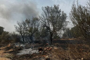 Ocorrências de incêndios rurais aumentam mais de 30% em 2025