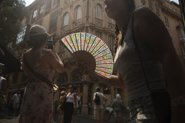 Vagas de calor afetam até 75% das espécies animais, indica estudo