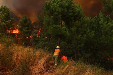 Aviões suecos de combate a incêndios atuaram todo o dia na zona do Sabugal