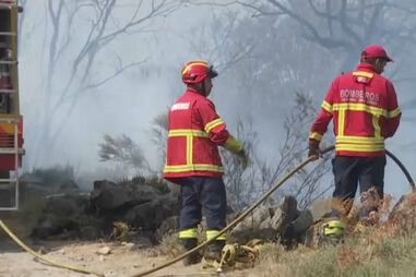 Bombeiros combatem incêndio florestal