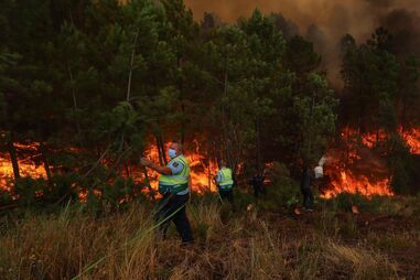 Incêndio Castelo Branco