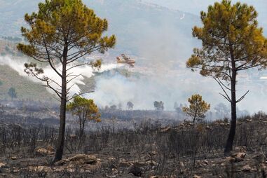 Basta uma rajada de vento para o inferno voltar a ameaçar casas, pessoas e animais na Serra da Estrela