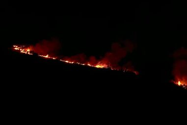 Governo e 58 municípios assinam contratos de 7 milhões de euros para mitigar impacto dos fogos