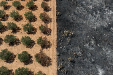 Imagens de drone mostram o que restou em Mirandela após as chamas