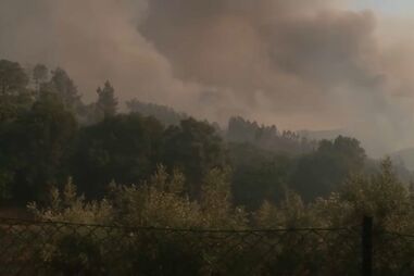 Incêndio em Pedrógão Grande obriga a evacuação de cinco aldeias