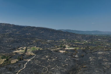 Castelo Branco após os incêndios