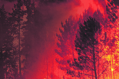 Bombeiros e populares lutaram contra paredes de fogo