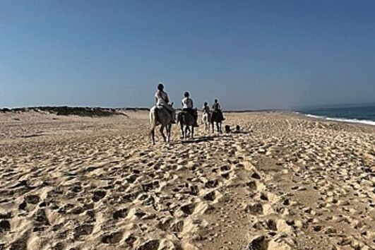 Passeios a cavalo são idílicos, mas deixam um rasto de incúria e não só
