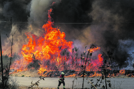 O incêndio de Piódão nasceu a 13 de agosto e cresceu como nunca visto. É o maior de sempre