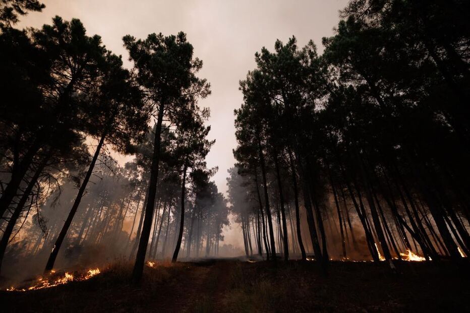 Fogo alastra numa área florestal, com fumo denso e chamas visíveis