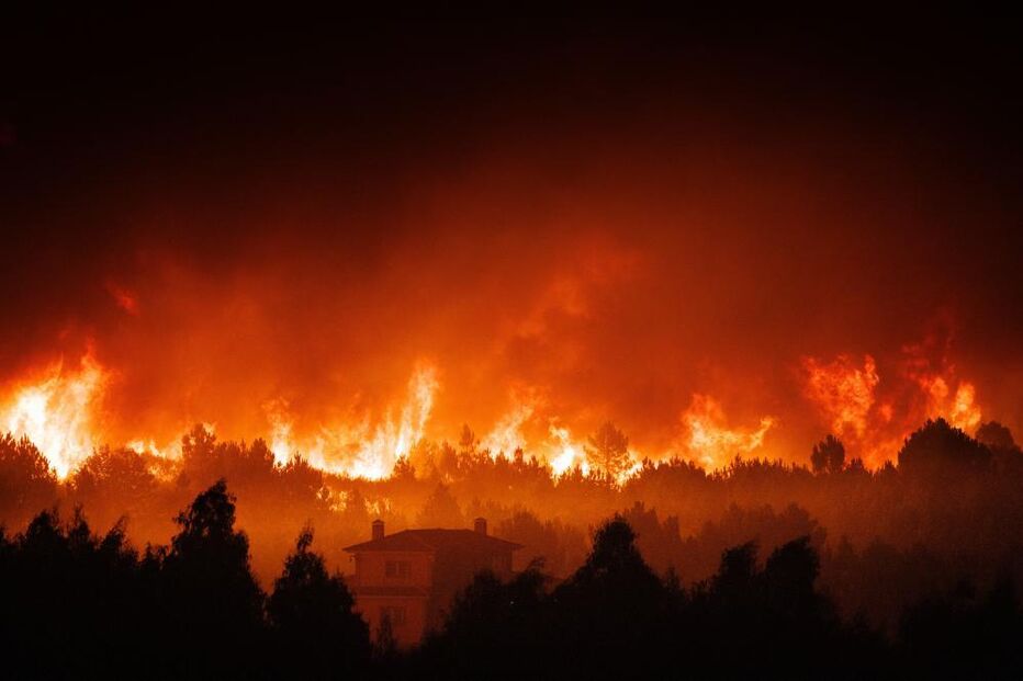 Chamas consomem floresta junto de habitações durante um incêndio em São Martinho da Anta, concelho de Sabrosa