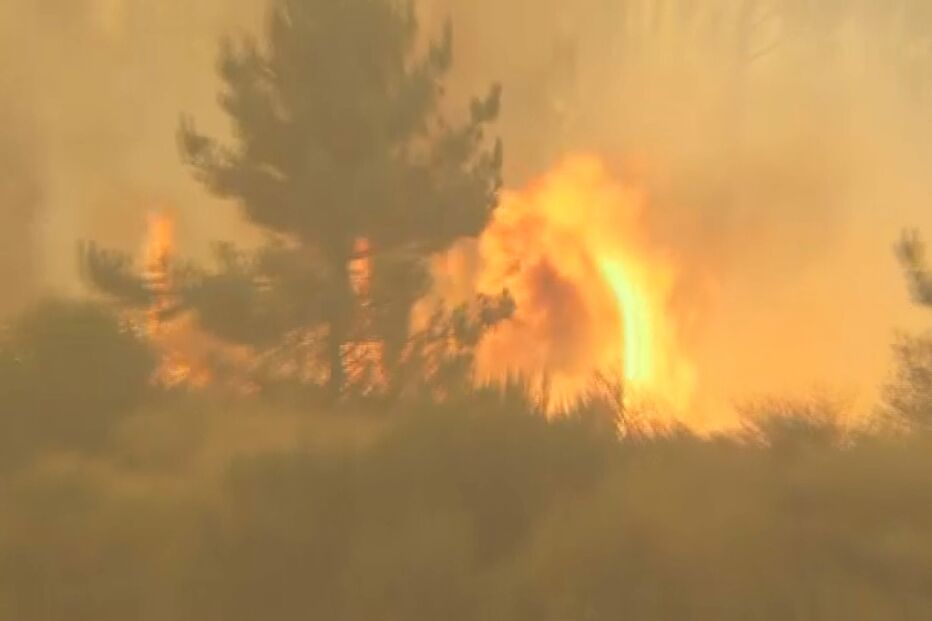 Incêndios no norte de Portugal mobilizam mais de 700 bombeiros