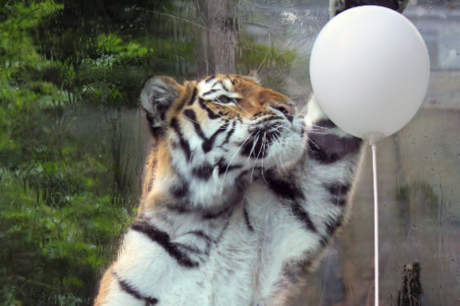 img_932x621uu2025-08-05-12-35-49-2227221.png