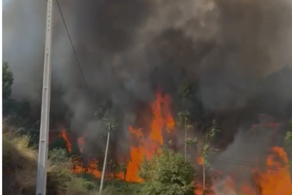 Fogo em Freamude, Paços de Ferreira