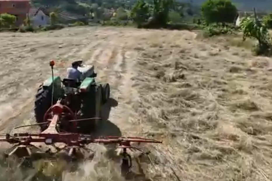 Agricultores temem impacto de mina de lítio nas suas terras e atividade