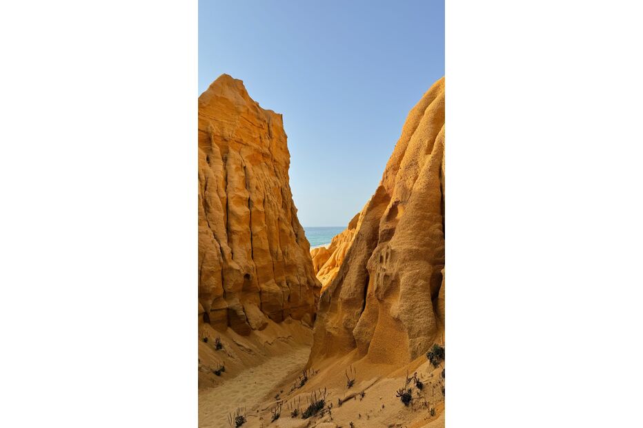 Dunas na praia, paisagem de Portugal