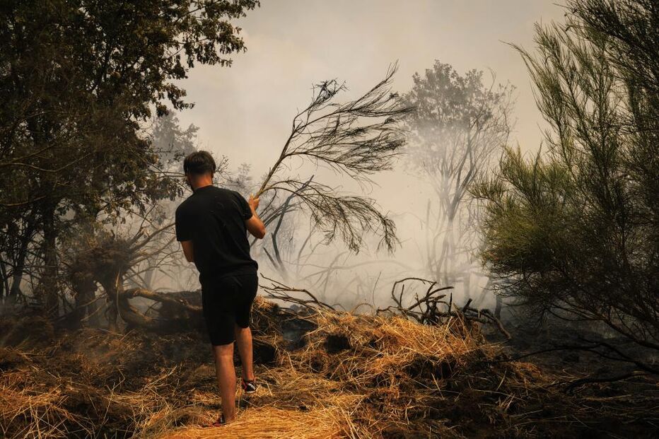 Voluntário tenta apagar incêndio florestal com um ramo