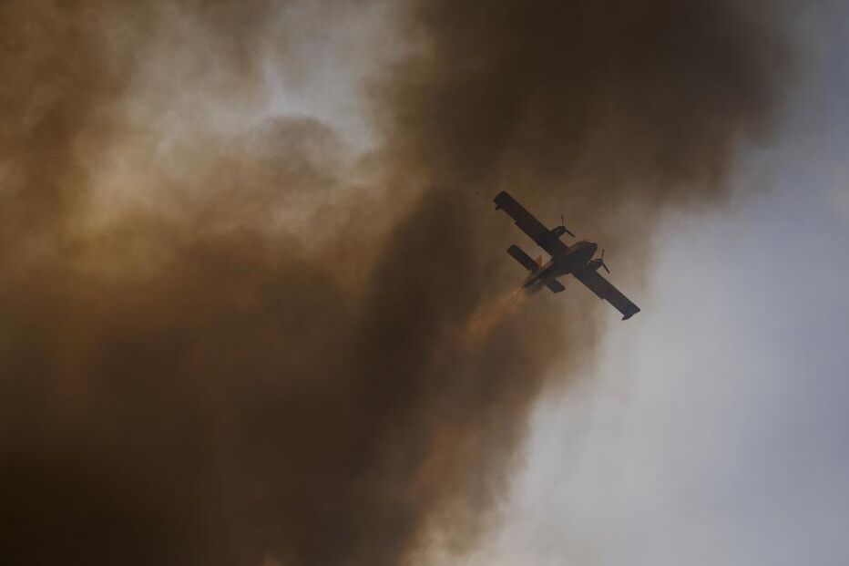 Incêndio em Moimenta da Beira