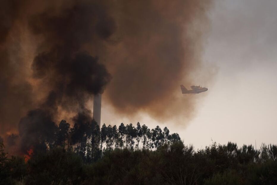 Incêndio em Moimenta da Beira