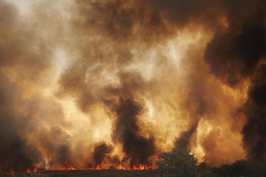 Incêndio em Moimenta da Beira