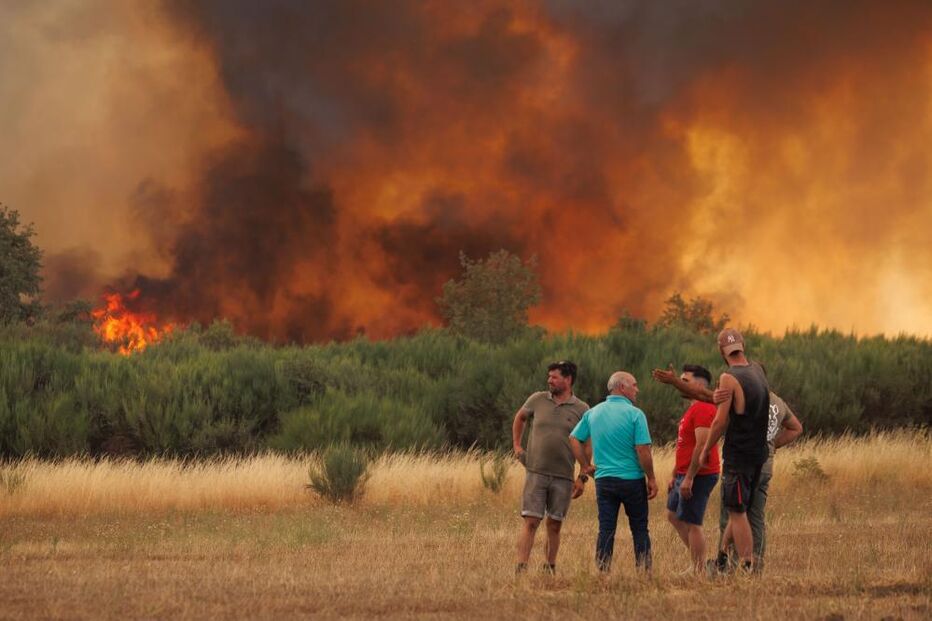 Incêndio em Moimenta da Beira