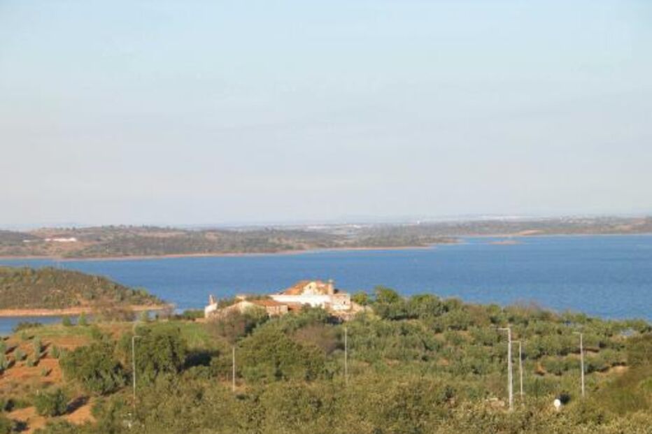 Alerta para destruição de plantas endémicas no Alqueva, perto de Beringel