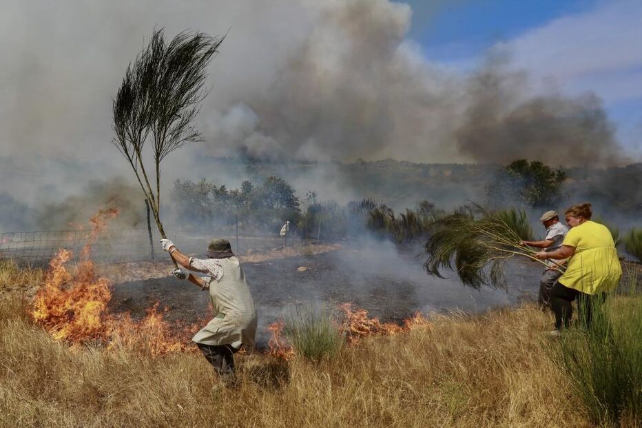 Populares combatem o fogo em Trancoso
