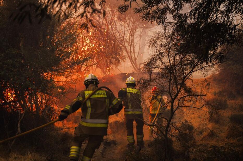 Operacionais combatem incêndio em Vila Real 