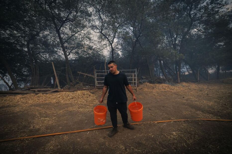 Popular ajuda a afastar chamas de habitações em Vila Real 