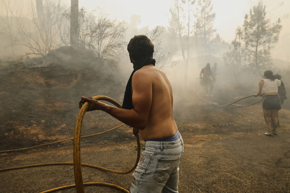 Espanha: Combatentes tentam extinguir incêndio em Castela e Leão