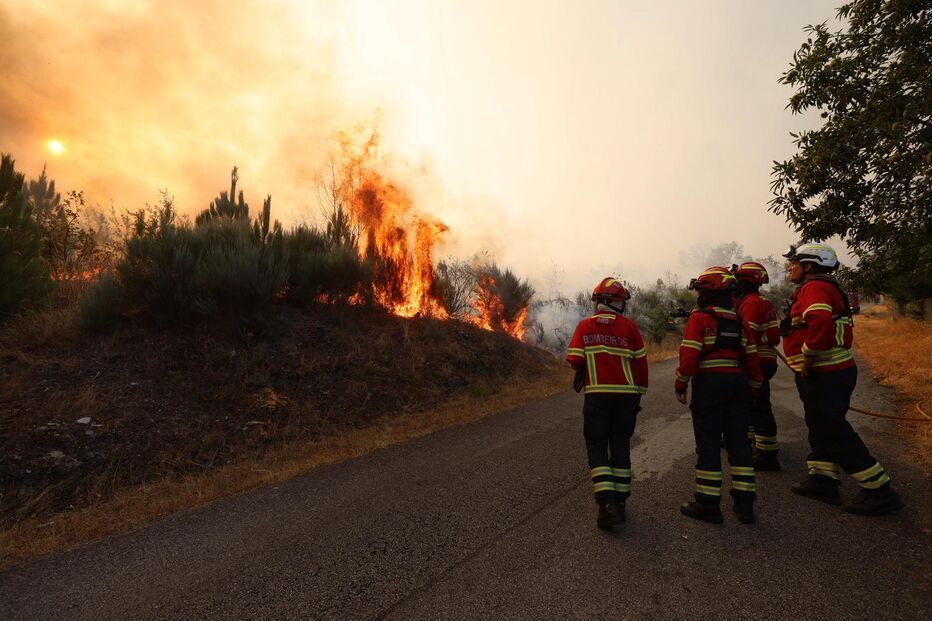 Bombeiros combatem as chamas em Sernancelhe, distrito de Viseu