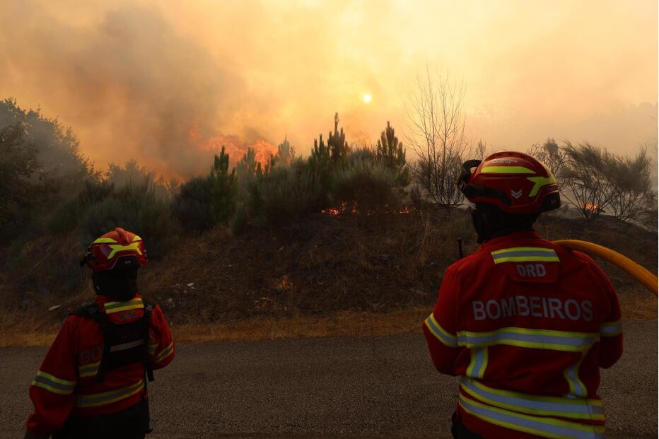 Bombeiros combatem incêndio florestal em Sernancelhe, Viseu