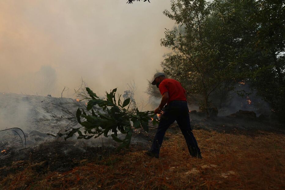 Combate a incêndio florestal em Sernancelhe, Viseu. Bombeiro usa ramos para extinguir as chamas