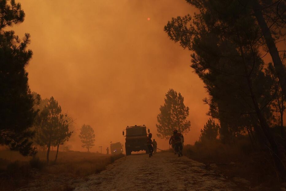 Bombeiros combatem fogo em Portalegre e Castelo de Vide