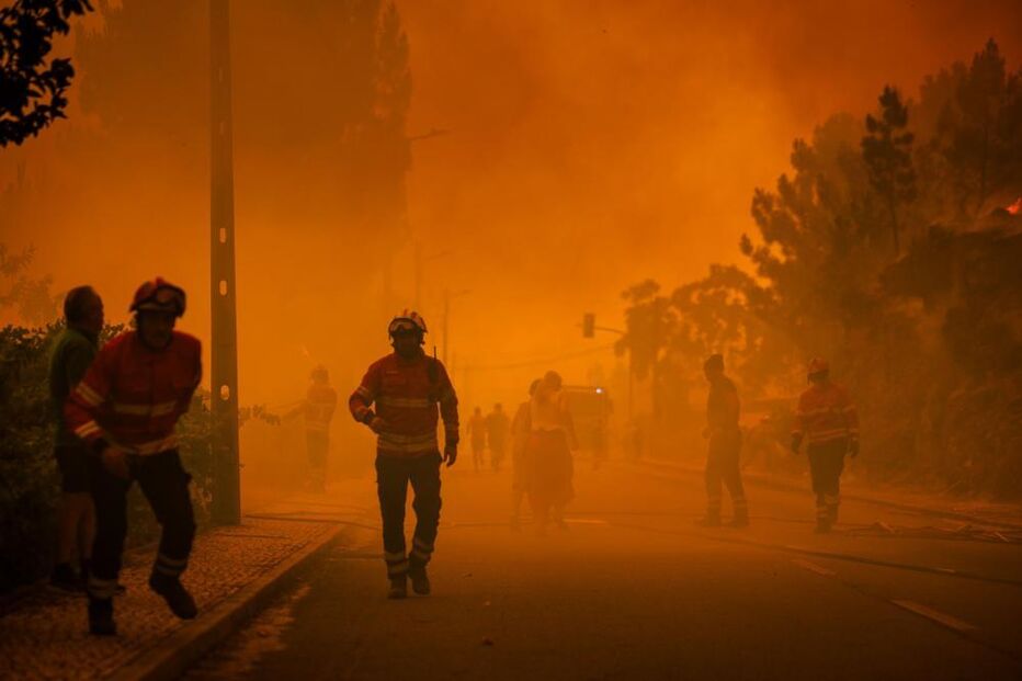 Bombeiros combatem incêndio florestal. Tragédia em aldeia
