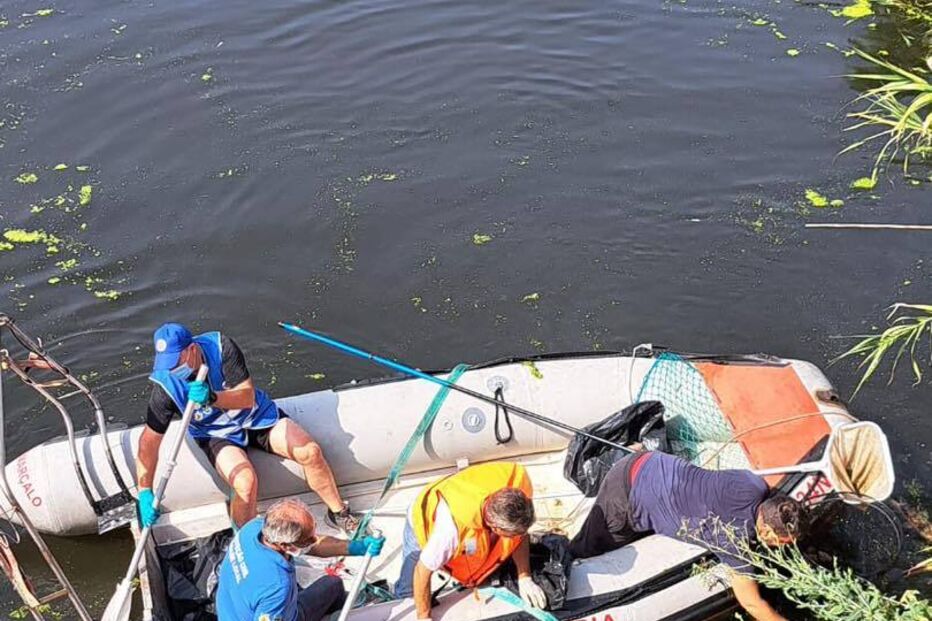 Bombeiros removem peixes mortos do rio Lis, após descarga de efluentes. Praia da Vieira reabre